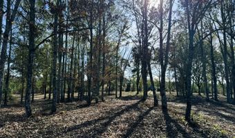 County Road 25, Banks, AL 36005