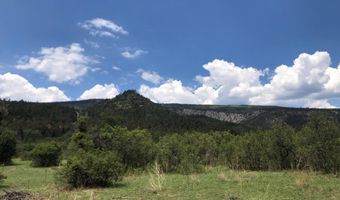 CR A034 Williams Canyon 62 Acres, Guadalupita, NM 87722