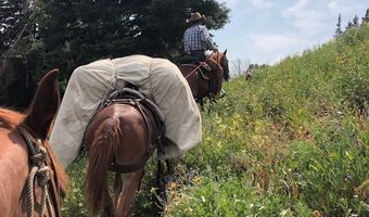 807 MERNA N BEAVER Rd, Daniel, WY 83115