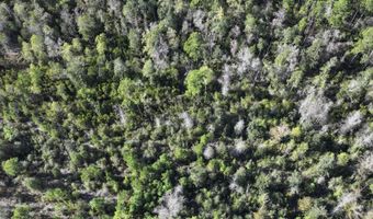 Pisgah Court, Alford, FL 32420