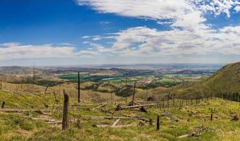0 Pine Acres, Bellvue, CO 80512