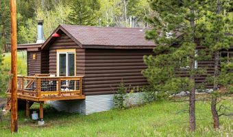 175 Ironclad View Rd, Allenspark, CO 80510