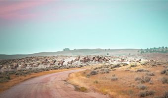 194 N Dry Creek Rd, Bridger, MT 59014