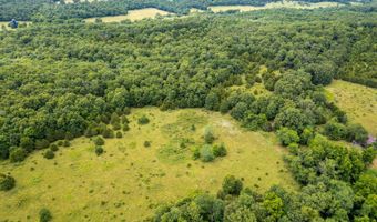 Co Rd 539, Ava, MO 65629