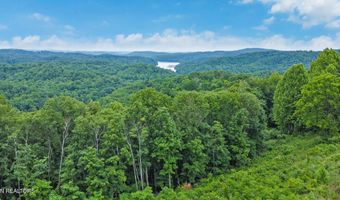 Hidden Cove Lane, Allons, TN 38541