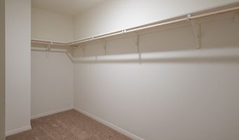10612 Ross Goose, Adkins, TX 78101