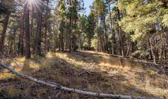 Back Basin Rd lot 145, Angel Fire, NM 87710