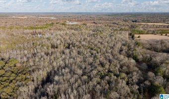 BRUSH CREEK DRIVE, Akron, AL 35441