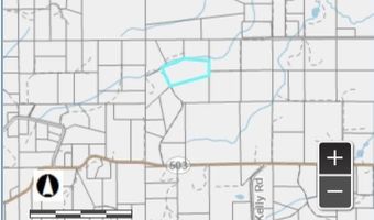 NE 197th Ct, Amboy, WA 98601