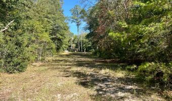 0 Lloyd Mill Rd, Andalusia, AL 36421