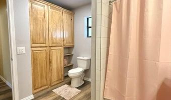 1007 Carnation Aly, Carlsbad, NM 88220
