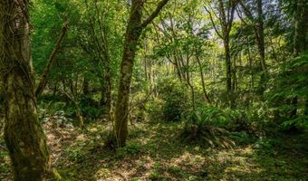Shark Creek Ln, Arch Cape, OR 97102