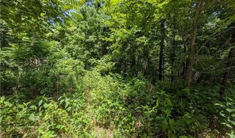 Wey Lane lot 6, Bella Vista, AR 72714