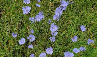 4775 S 50th Rd, Aldrich, MO 65601