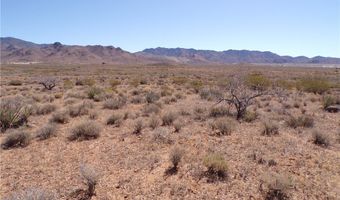 308-22 395 N Palo Verde Dr, Chloride, AZ 86431