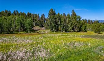 440 Holt Dr, Bigfork, MT 59911