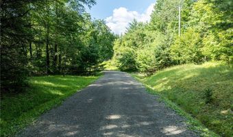 155 Hall Rd, Afton, NY 13730