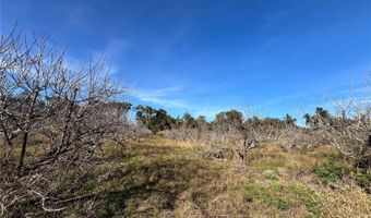 18250 RAVENSWOOD Rd, Altoona, FL 32702