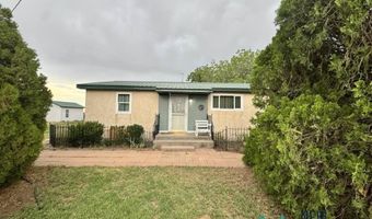 1411 Mcfarland Rd, Carlsbad, NM 88220