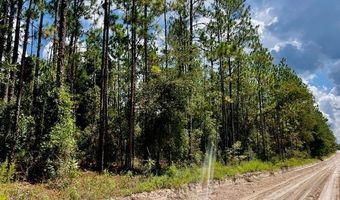 65 Th St, Bell, FL 32619