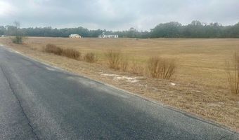 NW 31st Ave, Bell, FL 32619