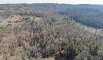 32960 US HIGHWAY 411, Ashville, AL 35953