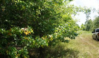 000 Stokes Rd, Bald Knob, AR 72010