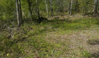 Steve Brown Road, Bean Station, TN 37708