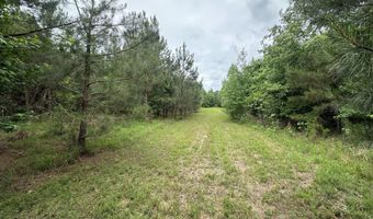 Colice Hall Lane, Ahoskie, NC 27910