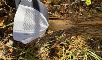 0 WALDROP Rd 10.82 Acres, Ashville, AL 35953