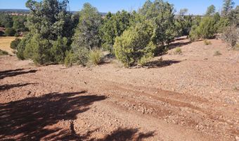 Tbd State Route 260, Clay Springs, AZ 85923