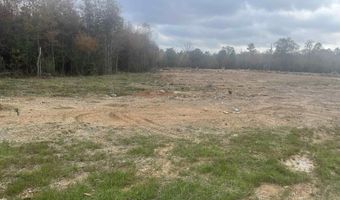 7080 Cold Creek Dr, Alexander, AR 72002