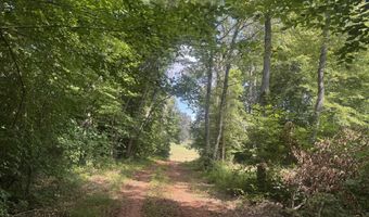 Tract 1 Mill Creek Rd, Andersonville, TN 37705