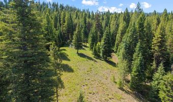 178 Tripod View Dr Lot 7, Cascade, ID 83611