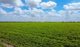 WBD N Hwy 281, Alice, TX 78332