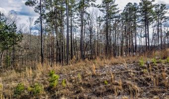 00 LOT 22 Waterside Dr, Abbeville, SC 29620