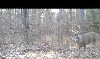 St. Johns Road, Braxton, MS 39044