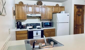 61 Woodbury Dr 43, Bristol, NH 03222