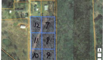 Martin Drive lot 7-12, Ash Flat, AR 72513