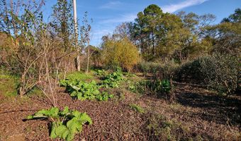 1541 Frank Hall Rd, Bolton, MS 39041