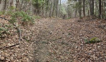 0 Clarks/Woodland Trl 409-4, Alexandria, NH 03220