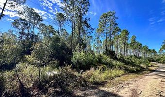 260 Hathcock Rd, Apalachicola, FL 32320