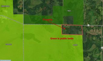 10478 Leander Rd, Angora, MN 55703