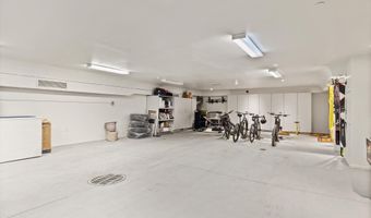 918 S Mill St A, Aspen, CO 81611