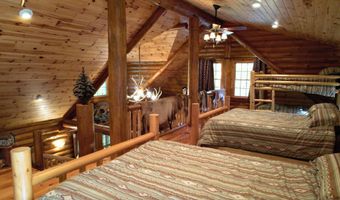 6402 Rustic Pine Trl, Alanson, MI 49706