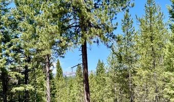 Sky Horse Drive lot 48, Cascade, ID 83611