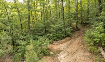 COUNTY ROAD 22, Arley, AL 35541