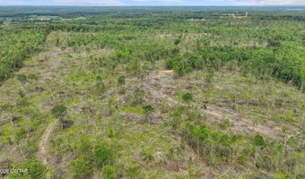 Wynn Road, Big Sandy, TN 38221