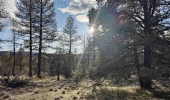 Canvasback, Bonanza, OR 97623