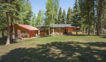 141 Via Del Rey, Angel Fire, NM 87710